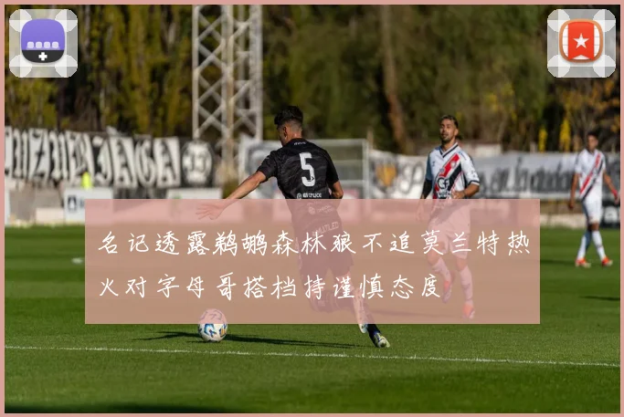 名记透露鹈鹕森林狼不追莫兰特热火对字母哥搭档持谨慎态度