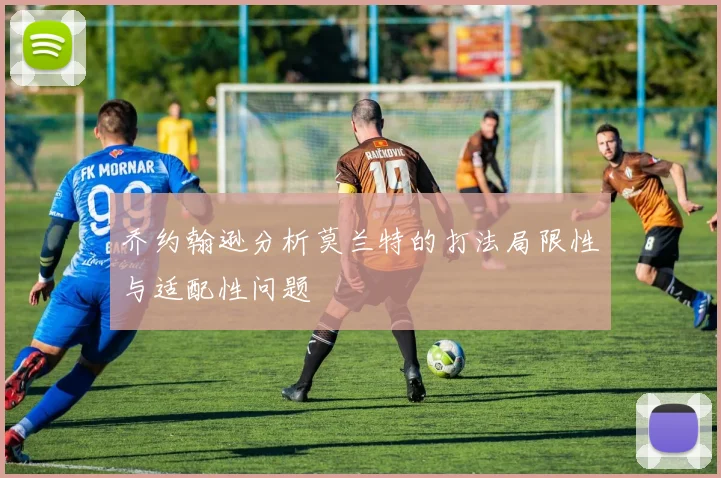 乔约翰逊分析莫兰特的打法局限性与适配性问题